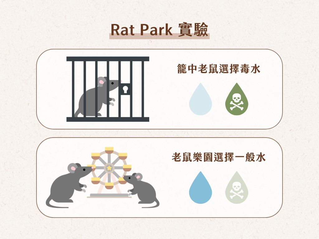手機成癮如何戒手機?戒手機的 3 個技巧&手游機制分析 老鼠樂園 RAT PARK實驗