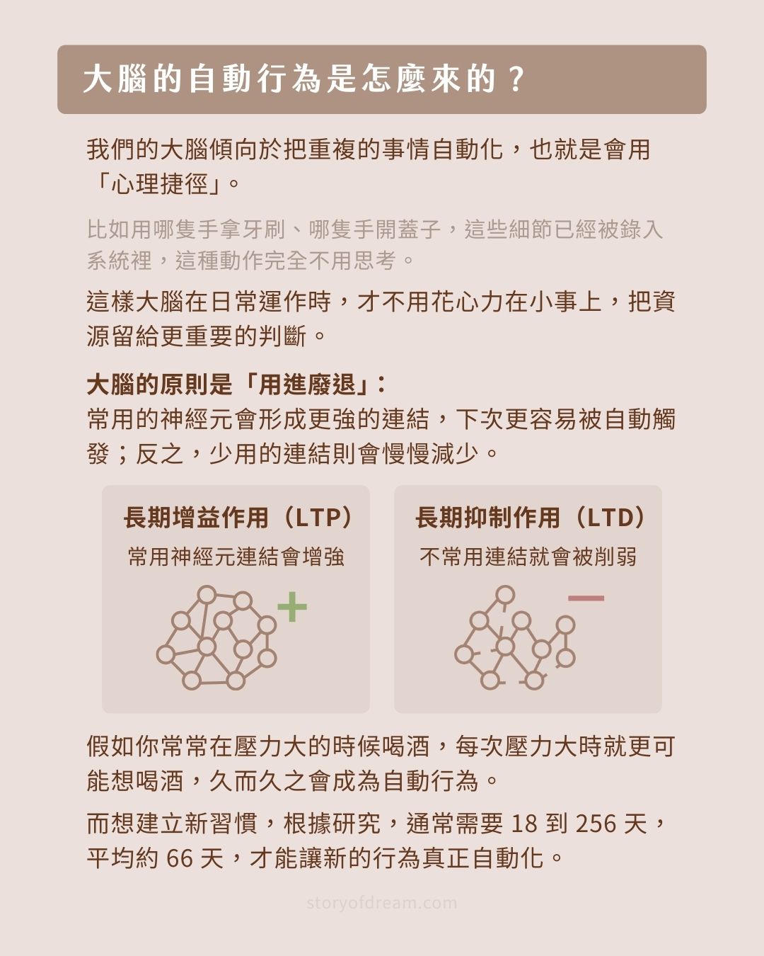 大腦的自動行為是怎麼來的？LTP LTD
