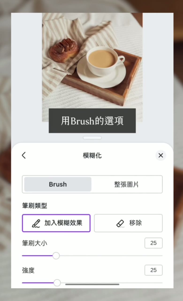 Canva 局部模糊教學|模糊筆刷讓照片只糊一部分 Canva 局部模糊筆刷 Brush 選項
