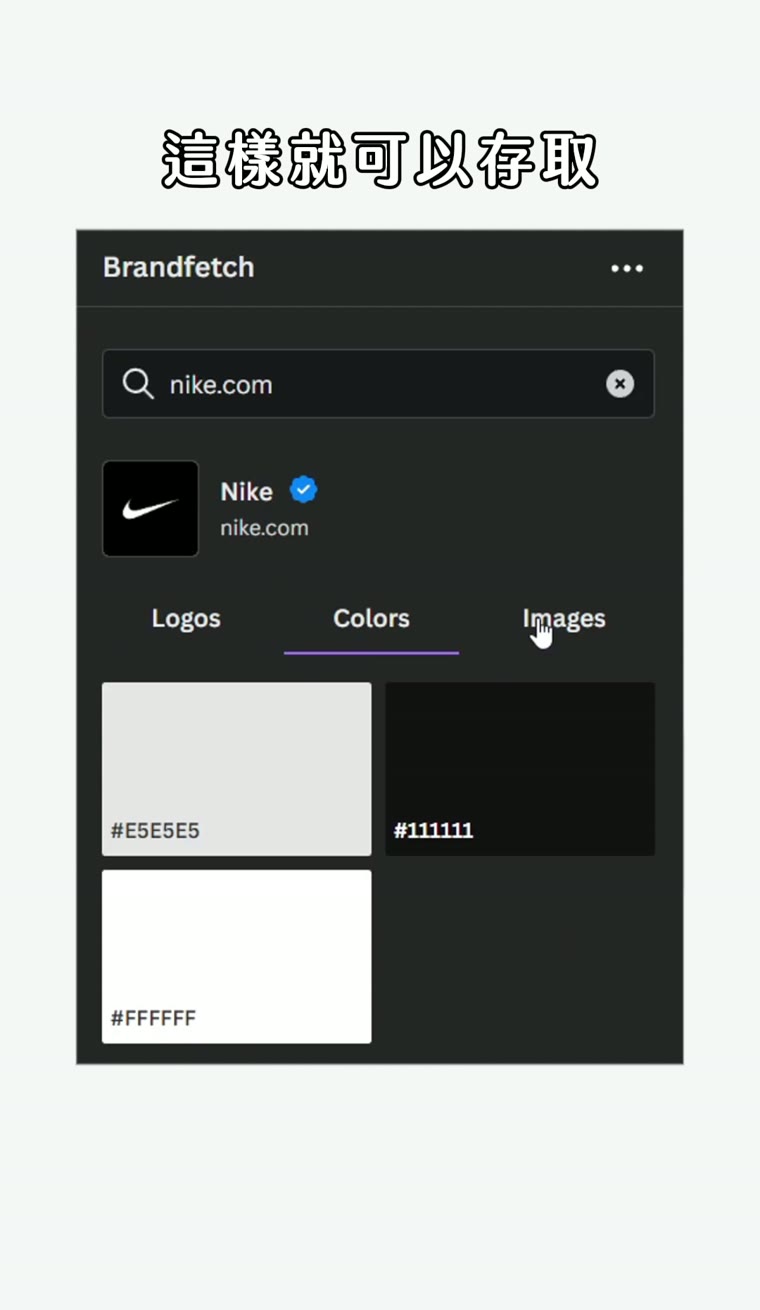 Canva Brandfetch 教學|一鍵抓品牌 Logo 與色票 去背 logo 品牌物件 Logo 與色票