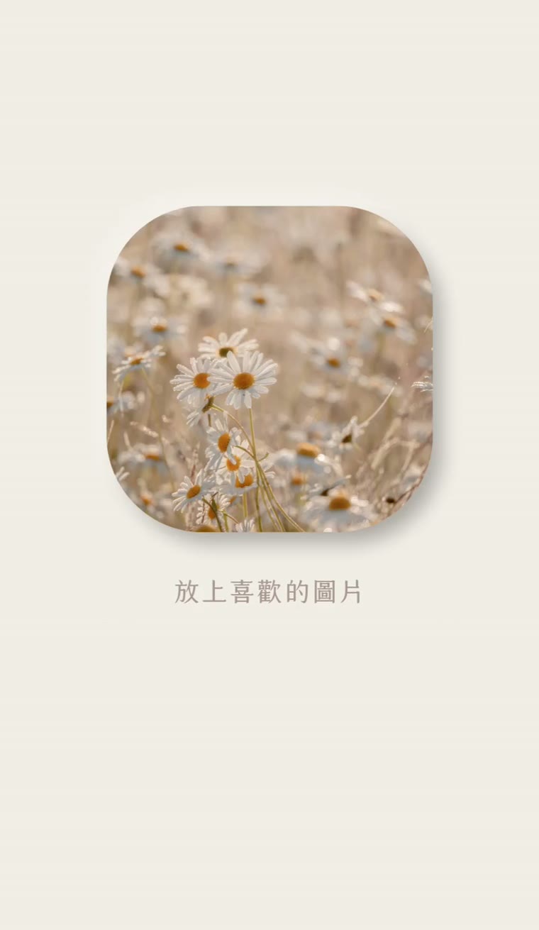 Canva 邊框教學 放入照片