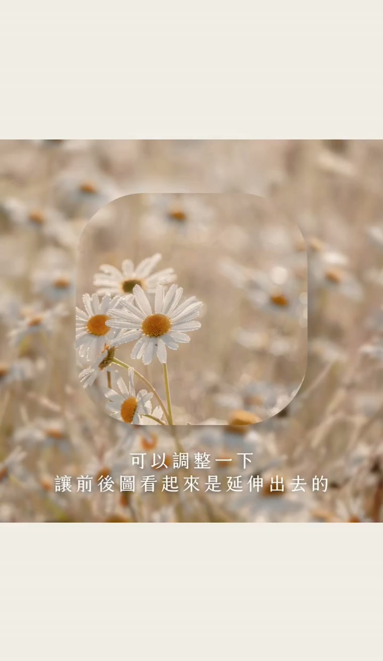 Canva 破框效果 破框延伸